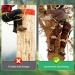Jackfruit Tree Climbing Nails 16PCs | Climbing Crampons for Tree Climbing Survival & Fruit Picking - Buy Online on GoSupps.com