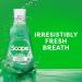 Crest Scope Classic Mouthwash 33.8 Fl Oz - Original Formula - Buy Online on GoSupps.com