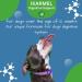 Doggy Dailies Probiotics for Dogs - Canine Supplements for Digestive and Immunity Support - Skin Health and Itch Support - Vitamin Treats - Veterinarian Formulated Probiotic 180 Count (Pack of 1) - Buy Online on GoSupps.com
