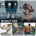 Shop Airtag Dog Collar & Silicone Cover for GPS Tracking | Anti-Loss & Safety Pet Accessories (Blue-Red) - Buy Online on GoSupps.com