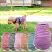 Luxurious Striped Dog Coat & Sweater - Colorful Wool Pet Shirts for Puppies | XXL Green-3 - Buy Online on GoSupps.com