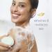 Dove Cucumber and Green Tea Beauty Bar 3.75 oz - Pack of 24 | More Moisturizing Than Soap - Buy Online on GoSupps.com