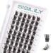 Cluster Lashes SISILILY Individual 72 Lash Clusters C D Curl eyelashes DIY Extensions Reusable False 3D Wispy Fluffy 10-16mm Length (DM14-mix) Pack of 1 72 clusters-DM14
