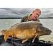 Tandem Baits Carp Food Boosted Hookers Carp Bait Carp Fishing Fishing Pop-Ups Carp Boilies Professional Carp Fishing Accessories 18mm 300g - Buy Online on GoSupps.com