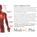 Medi C Plus Lysine Berry Flavour 300G - Preferred Nutrition | International Shipping Available - Buy Online on GoSupps.com