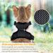Comfortable Cat Dishes with Leash - Breathable Air Mesh Fits Neck 28-35 cm & Chest 45-51 cm - Easy On/Off - Black S - Buy Online on GoSupps.com