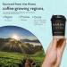 Maravi Speciality Coffee - Playa Honduras Arabica Coffee - Percolator Grind Coffee - Medium Roast - Citrus & Hazelnut Notes - 400g Percolator Grind 400 g (Pack of 1) - Buy Online on GoSupps.com