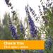 Herb Pharm Chaste Tree Liquid Extract - Female Reproductive Support - 1 Ounce - Buy Online on GoSupps.com