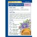 Organic Nighty Night Herbal Tea - Caffeine-Free Relaxation Tea with Valerian - 16 Wrapped Bags - Buy Online on GoSupps.com