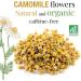 ORIGEENS Organic Chamomile Tea 100g | Whole Flower Digestion & Sleep Aid | Sourced in Europe | Organic Wild Chamomile Flowers - Buy Online on GoSupps.com