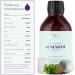 Inositol Fem Acnesitol 3000mg - Hormonal Acne Solution Female Balance | 14-in-1 Formula with Myo & D-Chiro Inositol NAC Niacin Vitamin A Selenium Zinc Chromium & BioPerine - Buy Online on GoSupps.com