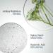 Buy comfort zone Sublime Skin Lift & Firm Ampoules - Anti-Wrinkle Peptide & Hyaluronic Acid for Firm Plump Skin | 7 ct - International Shipping Available - Buy Online on GoSupps.com