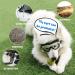 Namsan Adjustable Dog Sunglasses | Waterproof & Windproof Protective Glasses for Medium/Large Dogs | Perfect for Motorcycle Rides - Clear Silver - Buy Online on GoSupps.com