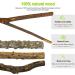 5 PCS Bird Parrot Perches for Cage 9.84 inches Natural Wood Perch Platform Stand for Parrots Birds Cage Parakeets Cockatiels Conures Cages Accessories (5 PCS) - Buy Online on GoSupps.com