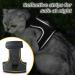 HEYWEAN Cat Harness and Leash Set - Escape Proof Kitten Harness for Outdoor Walking - Adjustable and Reflective - Dark Grey - Sizes S, M, L - Buy Online on GoSupps.com