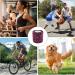 Bohue 4 Rolls Self Adhesive Cohesive Bandages Leopard Print Pattern Non-Woven Elastic Bandage Tape Pet Vet Wrap Bandages Sports Stretch Tape - Buy Online on GoSupps.com