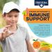 FREEDA Vitamin C Kids Vitamin C Gummies - Kids Sugar Free VIT C Gummy Chewable for Adults Teens & Children - Certified Kosher Delicious Orange Flavor Zero Sugar Immune Support Supplement (60 Ct) 60 Count (Pack of 1) - Buy Online on GoSupps.com