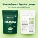 Tencha Matcha culinaire | Poudre de th vert matcha japonais pur | De Shizouka Japon | V gan | Sans dulcorants artificiels | 50 g 1 pi ce 50 g culinaire - Buy Online on GoSupps.com