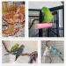 Aumuca Bird Perch Stand Rope Toys for Small to Large Birds - 39 inch - Pack of 3 - Buy Online on GoSupps.com