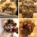 OMG Adorables Lion Mane Costume for Cat - Fun Pet Costume for Halloween and Parties - Buy Online on GoSupps.com