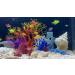 Buy BEGONDIS 8-Piece Coral Decoration Set for Aquariums | Transform Your Aquarium into a Stunning Underwater World - Buy Online on GoSupps.com