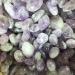 1pcs Natural Amethyst Palm Quartz Gem Crystal Polished Raw Stones Irregular Shape Home Decoration Reki Gifts Natural Luster - Buy Online on GoSupps.com