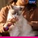 Vita Power Liquid Cat Snack with Duck | Immune Support Treats | Low-Calorie | 6 Pieces - Buy Online on GoSupps.com