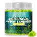 Marine Algae Omega 3 Gummies with 3400mg+ | DHA/EPA/ALA 20:1 Grape Seed Extract Vitamin C & Folate | Heart Brain & Skin | Plant-Based Sugar-Free 60 Ct