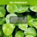 iUNIK Centella Bubble Cleansing Foam 150ml - Gentle & Effective Face Cleanser - Buy Online on GoSupps.com