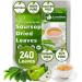 Lavendium 240+ Premium Soursop Graviola Dried Leaves 240-260 Natural Leaves Whole Soursop Leaves Wildcrafted Graviola Soursop Hoja Guanabana Soursop Loose Leaf Herbal Tea No Gluten Vegan Soursop Leaves 240 Bags