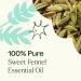 Buy Plant Therapy Sweet Fennel Essential Oil 10 mL - 100% Pure Undiluted Therapeutic Grade | International Shipping Available - Buy Online on GoSupps.com