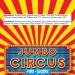 Regal Confections Jumbo Circus Pops Individually Wrapped Giant Colourful Lollipops - Bulk Candy Pack of 12 - Buy Online on GoSupps.com