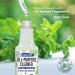 Mighty Mint All-Purpose Cleaner - Non-Toxic Natural Peppermint Spray for Home & Kitchen | 16oz - Buy Online on GoSupps.com