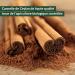 500 g organic Ceylon cinnamon grown and produced according to EU organic standard without additives - Buy Online on GoSupps.com