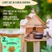 Torgenn Mealworms 2kg - Nutrient-Rich 100% Natural Wild Bird & Fish Food | GVO-Free Additive-Free - Buy Online on GoSupps.com