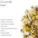 Organic Chamomile Flower Tea - Soothing & Relaxing 200g - Dried Chamomile for Ultimate Calm - International Shipping Available - Buy Online on GoSupps.com
