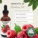 Best Nature's Red Raspberry Seed Oil 100% Pure Organic Cold-Pressed Natural Face & Hair Moisturizer Rich in Vitamin E Omega 3 Anti-Aging Skincare 1 fl oz / 30 ml Rasprberry 1 Fl Oz (Pack of 1) - Buy Online on GoSupps.com