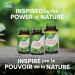 Nature's Way Dandelion Root - Digestion Supplement Diuretic Laxative - Non-GMO Verified - 180 Vegetarian Capsules Value Size 180 count (Pack of 1) - Buy Online on GoSupps.com