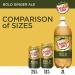 Canada Dry Bold Ginger Ale Mini Cans 7.5 fl oz - 6 Pack - Buy Online on GoSupps.com