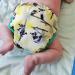 Close Pop-in Premium Bamboo Newborn Cloth Nappy - Lemur Print, Reusable & Absorbent - Buy Online on GoSupps.com