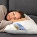 Buy Dream Castle Holstein Pillow 40x80cm - 80% Down Double Chamber Allergy-Friendly & Washable - Perfect Comfort & Support - Buy Online on GoSupps.com