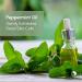 Refreshing Cooling Effect Anti-Acne Mint & Tea Tree Body Wash - 200ml | International Shipping Available - Buy Online on GoSupps.com
