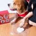 Vumdua Pawprint Keepsake Kit (Makes 2) - DIY Pet Paw Print Impression Kit with Clay - Personalized Gift for Pet Lovers - Buy Online on GoSupps.com