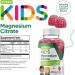 Kids Magnesium Citrate Gummies 120 Count Chewable Supplements for Sleep Aid, Calm Mood & Muscle Relaxation Raspberry Flavor - Buy Online on GoSupps.com