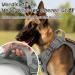 Rabbitgoo Large Dog Harness - Adjustable Tactical Harness for Hiking | Anti-Train Design Robust & Wear-Resistant with Metal Buckles (Gray) - Buy Online on GoSupps.com