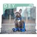 Dey Premium Dog Leash - 2m Air Mesh 3-Way Adjustable for All Dog Sizes Multiple Colors Ideal for Puppies & Cats - Blue XS/S - Buy Online on GoSupps.com