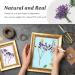 Pressed Dried Gypsophila Flowers 42PCS - Purple Babysbreath Flowers for DIY Crafts - Buy Online on GoSupps.com