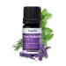 Casida clear thoughts fragrance mixture essential oils with lavender oil peppermint oil rosemary oil - frees the head for more clarity ideal at Brain Fog - 5 ml - from the pharmacy