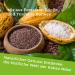 Lot de 3 bo tes de 800 g pour aliments crus de cacao - Id al comme garniture produit naturel sans additifs du P rou / GreatVita - Buy Online on GoSupps.com