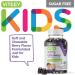 Sugar Free Sambucus Black Elderberry Gummies for Kids - Immune Booster with Vitamin C & Zinc - Vegan & Gluten Free - Berry Flavored Chewables - Buy Online on GoSupps.com